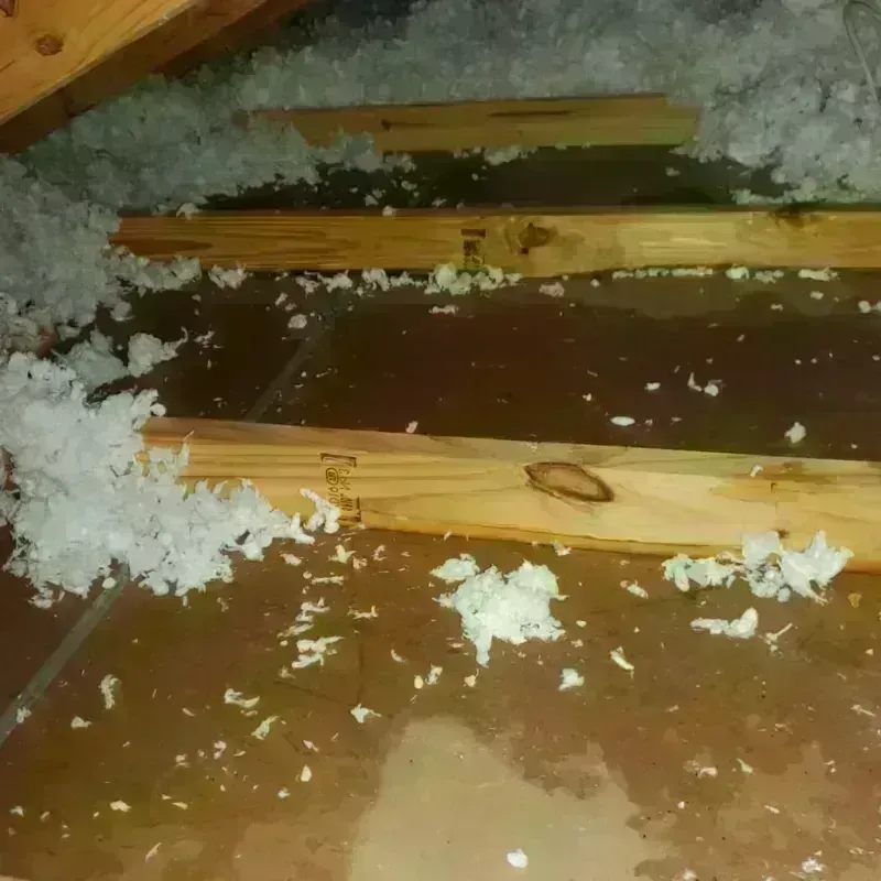 Attic Water Damage in American Fork, UT